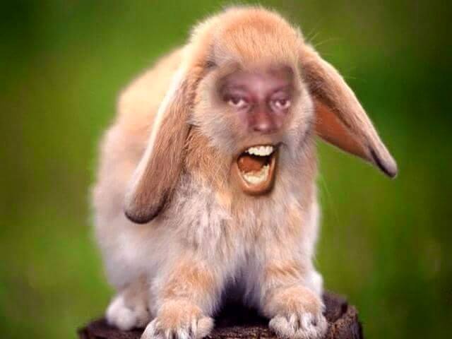 Photo posted on Facebook depicting Pacifique Nininahazwe, a leading opposition figure, as a rabbit