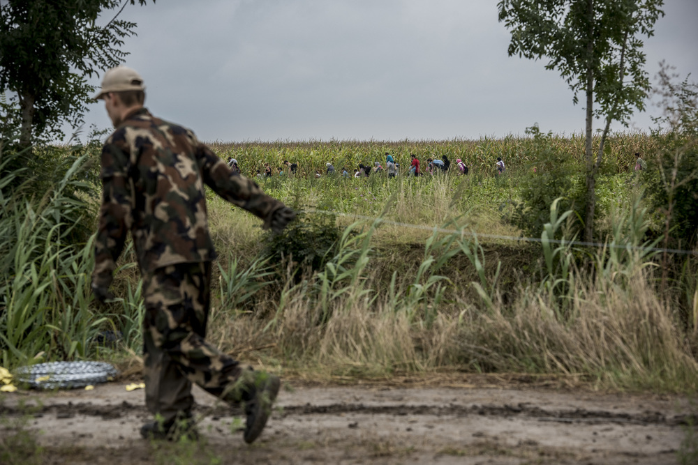 Hungarian soldiers construct a razor-wire fence at the Serbian border as Syrian refugees about to enter the country emerge from the fields behind