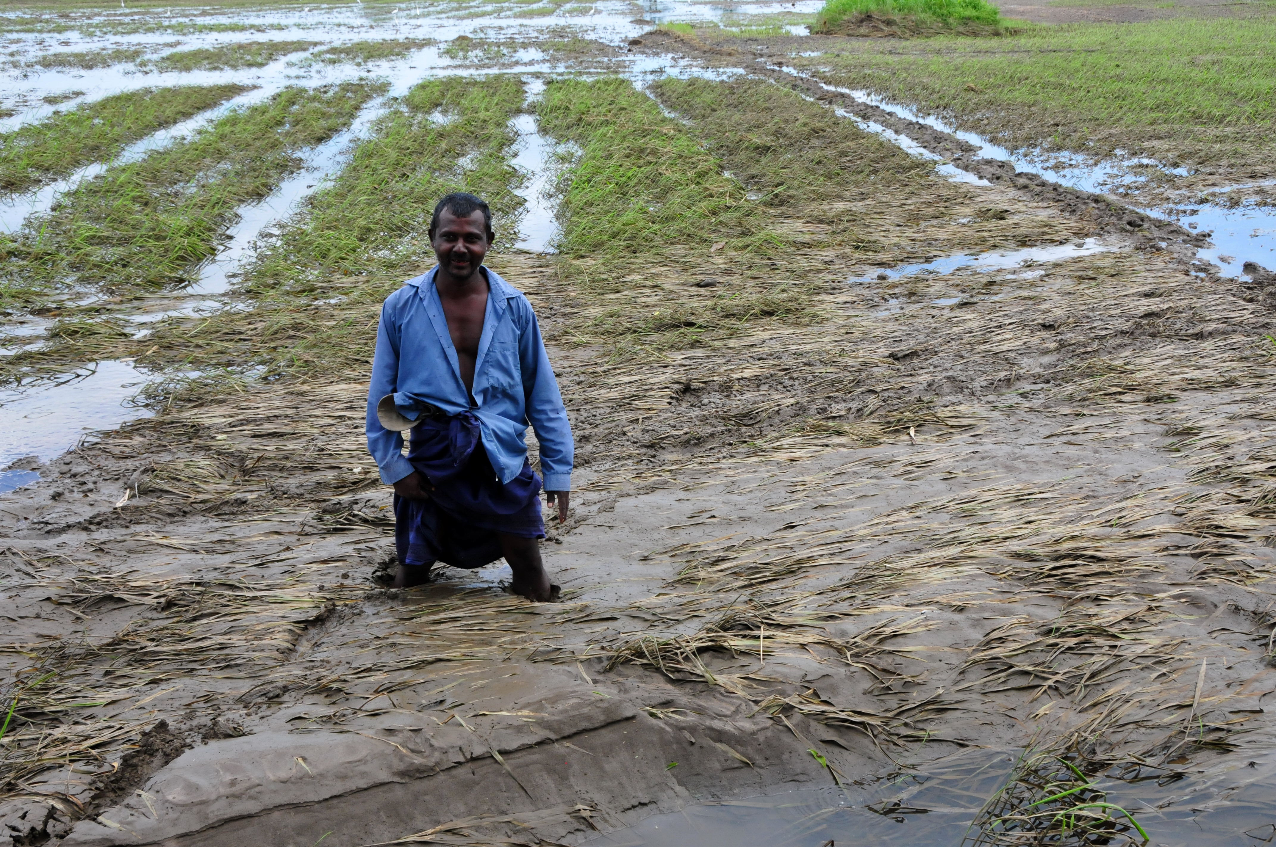 Ranbanda Wijesinghe stands in his field in Pollonaruwa, Sri Lanka, during floods in 2011.