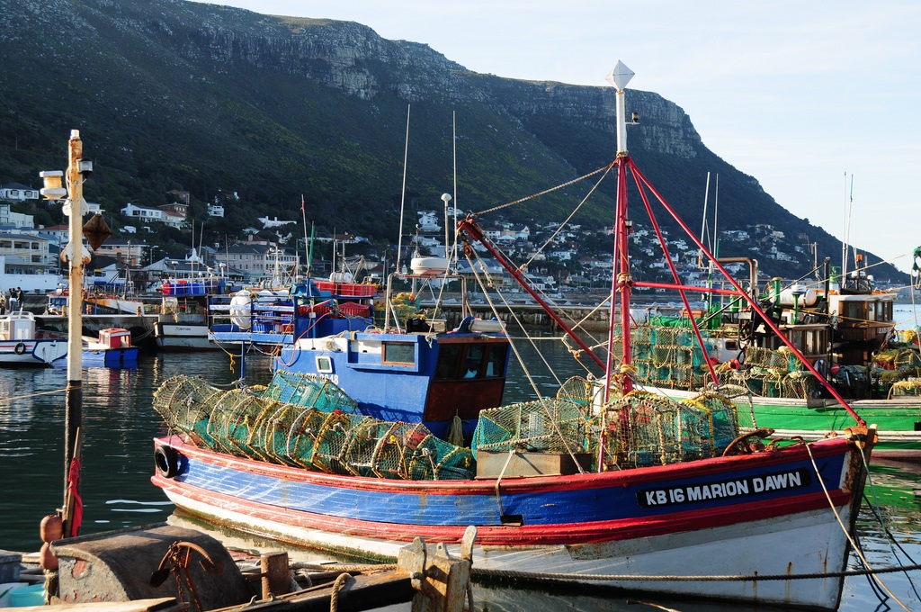 South Africa's Kalk Bay harbour