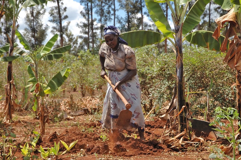 A woman farms red dirt in Kenya.