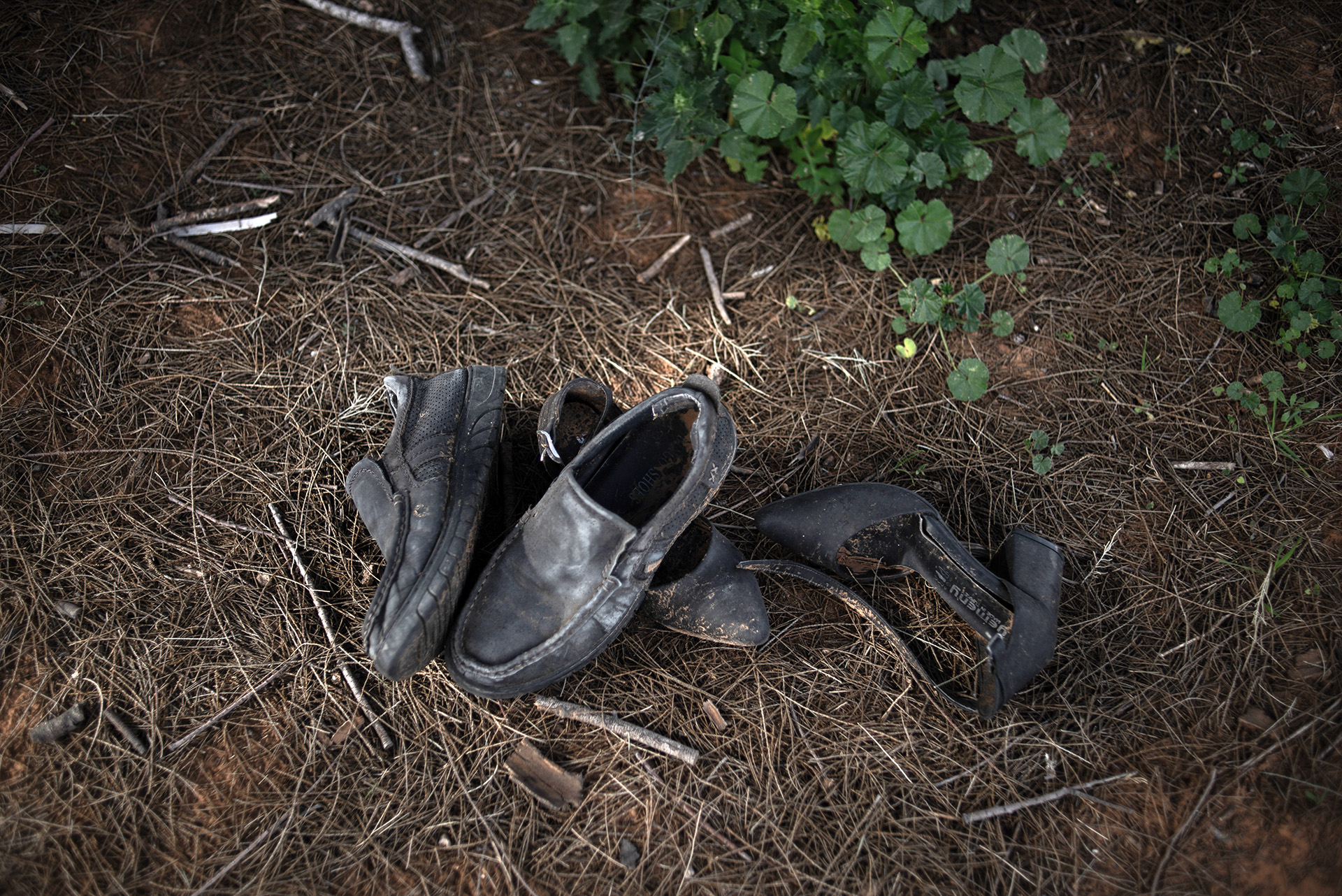 Two pair of muddy shoes – a pair of sneakers and low-heeled pumps – lie on the grass and are pictured from above.