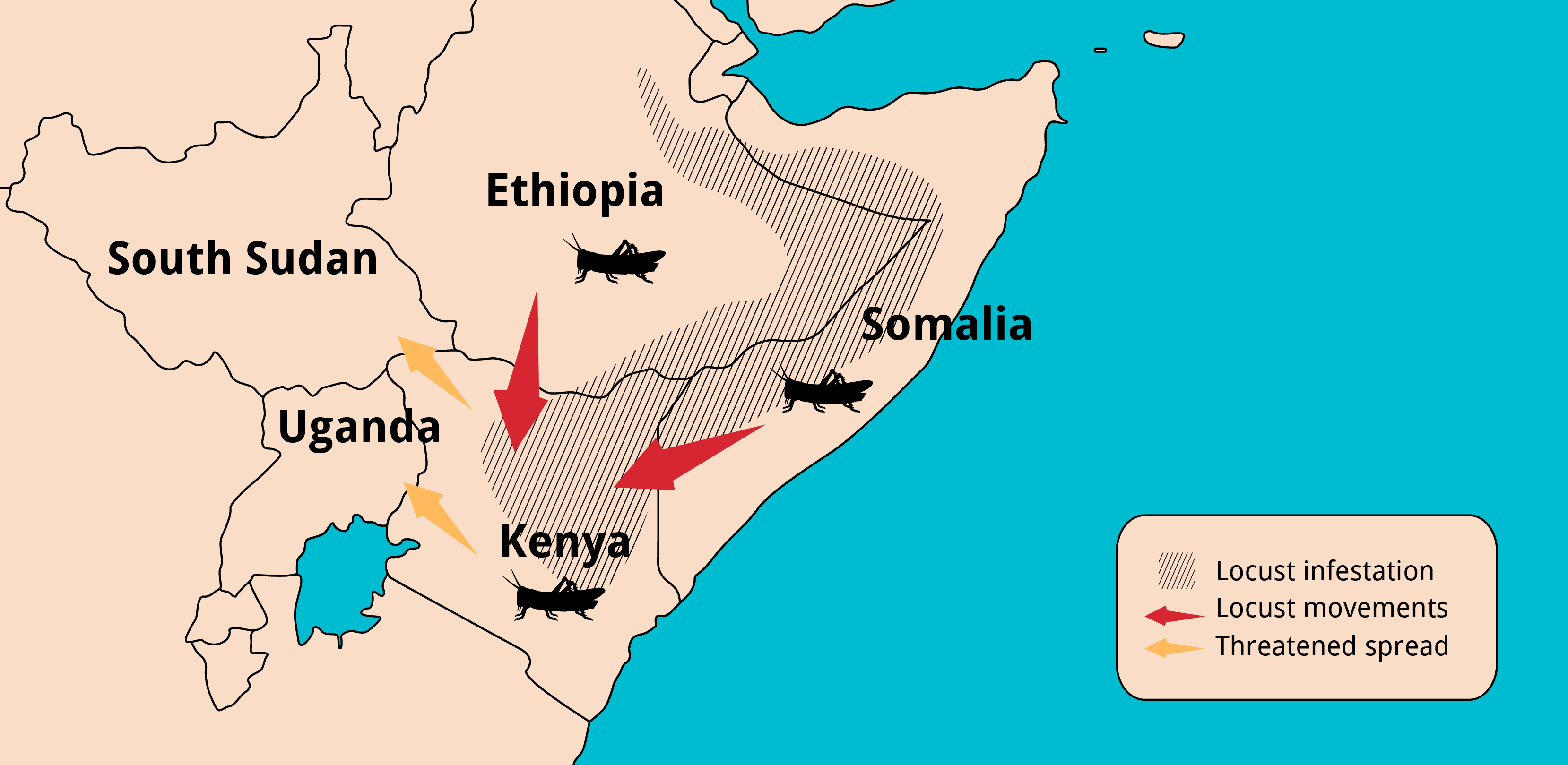 A map showing locust infestation, spread and threat in South Sudan, Ethopia, Uganda, Kenya and Somalia.