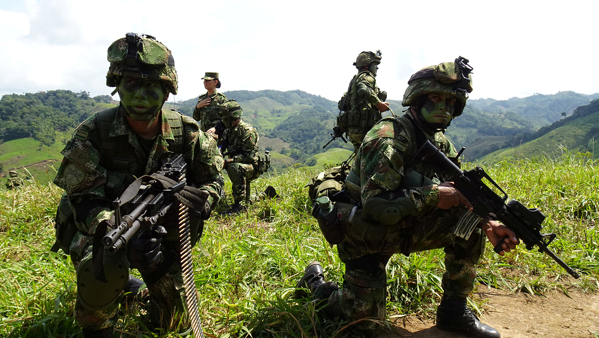 Colombian government forces have been stepping up operations to eradicate coca plantations, like this one in Antioquia province on 10 September 2019.