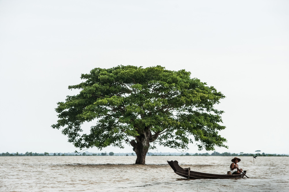 A man in a hat paddles a canoe in a completely submerged scene except for one large tree standing out of the water.