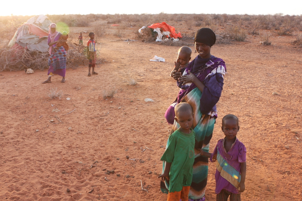 Pastoralist IDPs in Ethiopia
