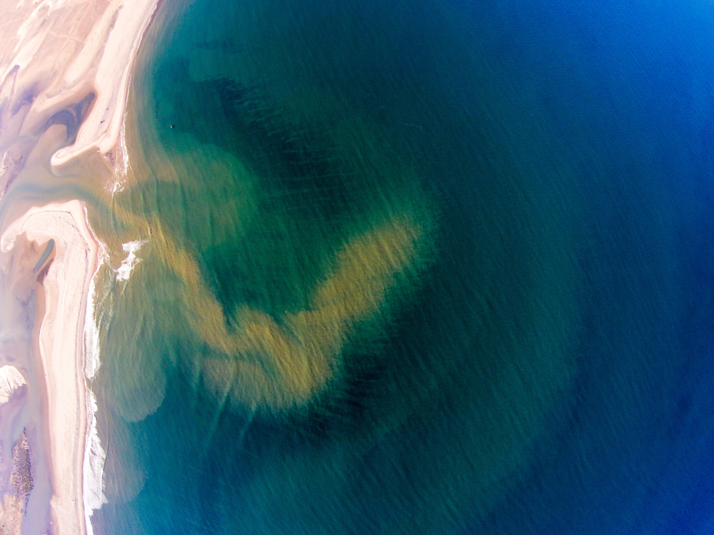 A coral reef is smothered by a plume of sediment