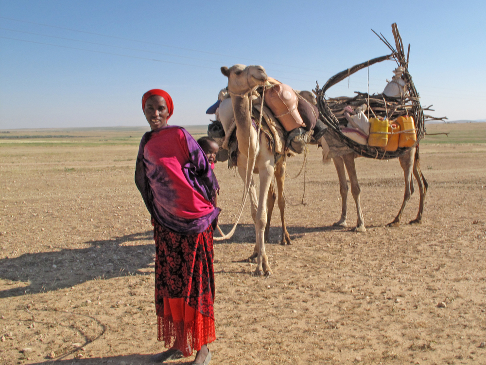 the emergence of pastoralism in africa essay the emergence of pastoralism in africa essay