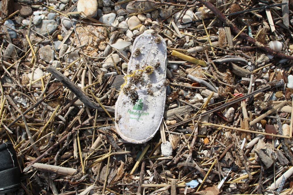 Shoe on beach