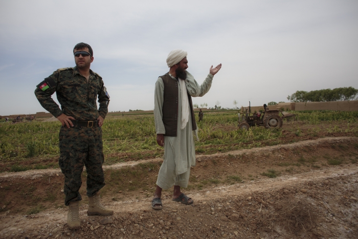 Afghan narcotics police destroy a poppy field in Helmand