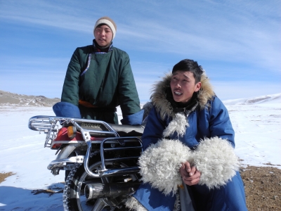Mongolian herders in search of pasture