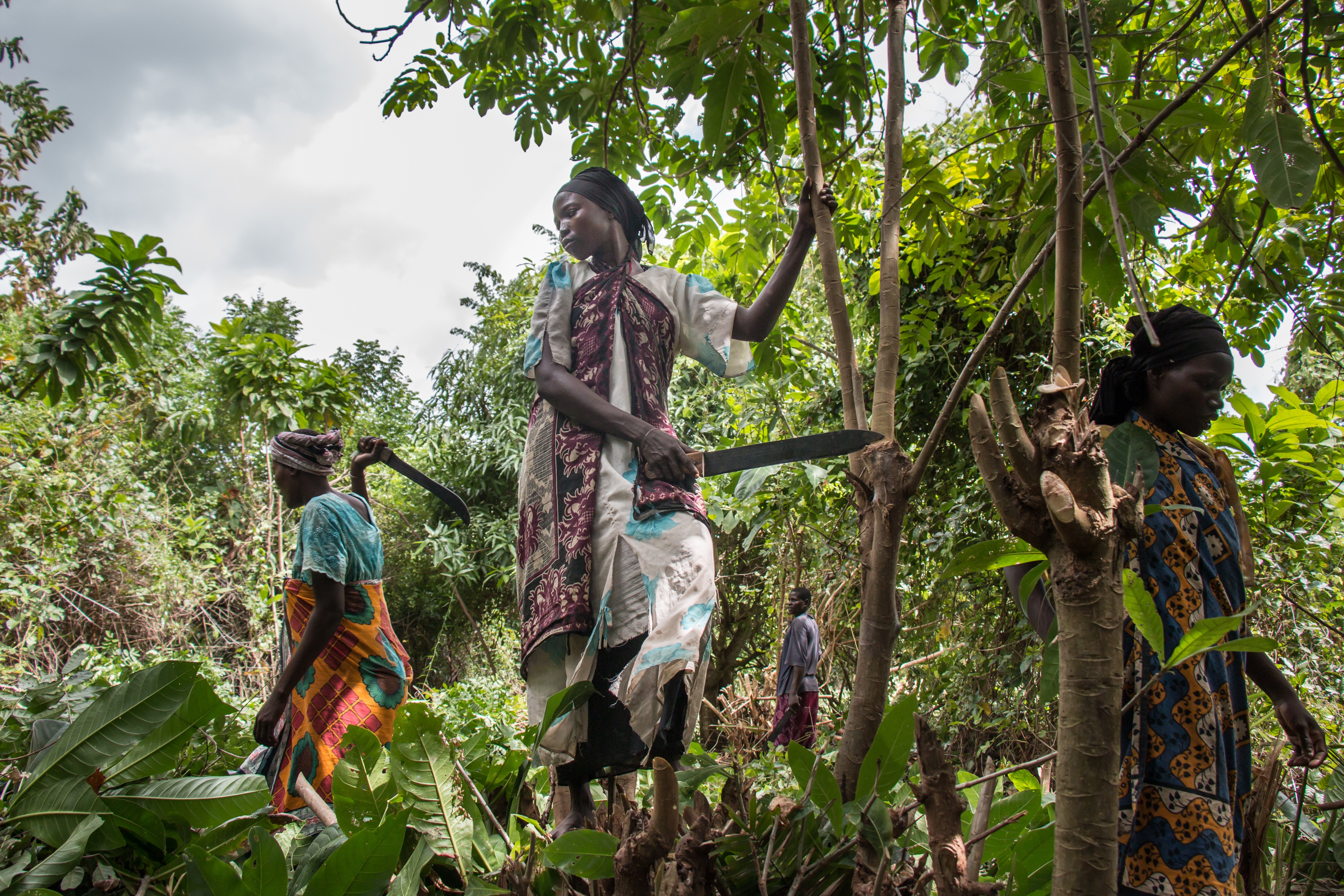 Pokomo farmers from the village of Kilunguni
