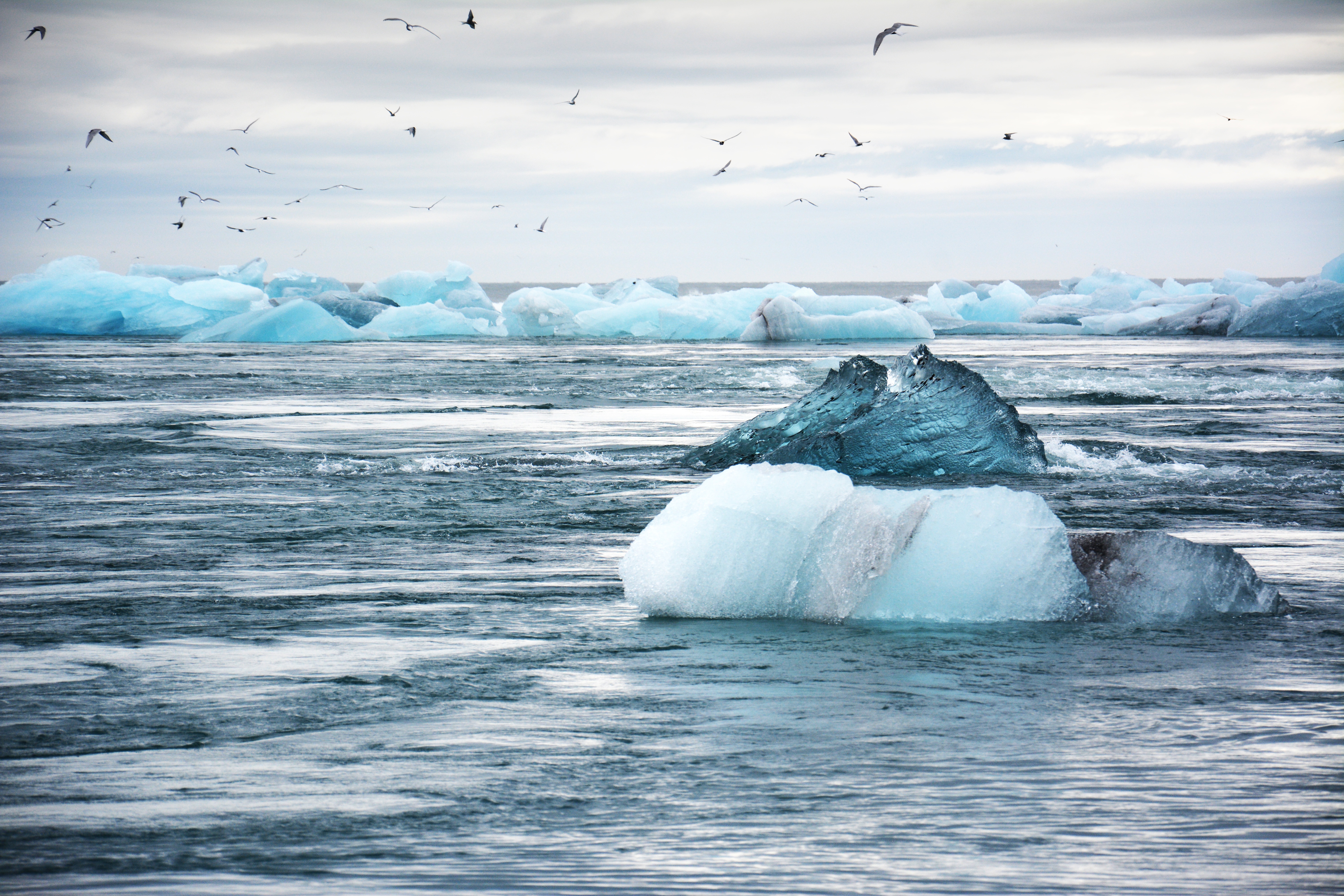 Glaciers in the Arctic