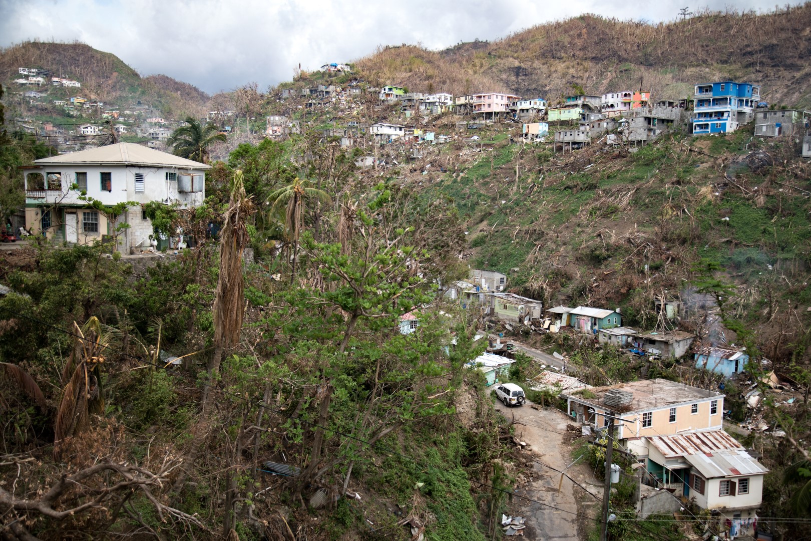 Fell trees and torn roof paneling litter the ravines of a village in Dominica.