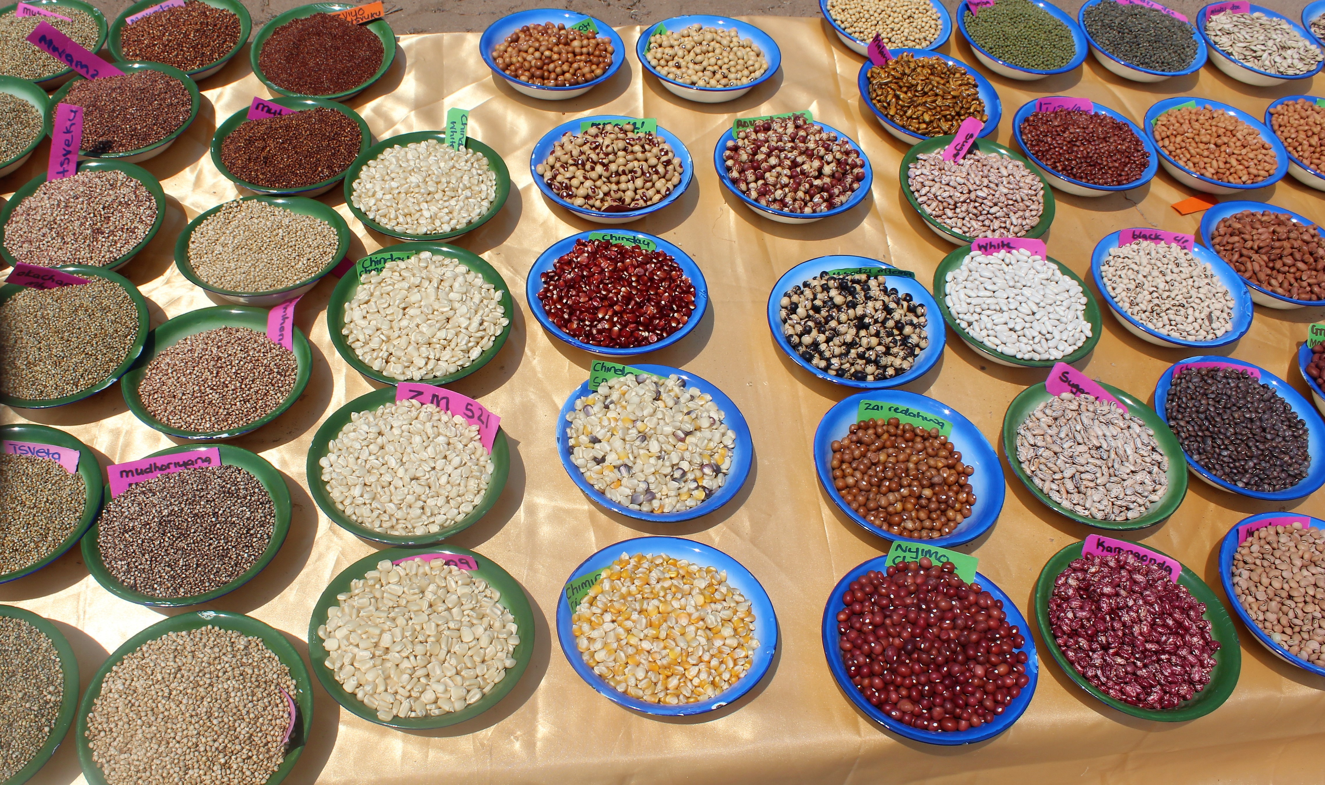 Bowls of different seeds