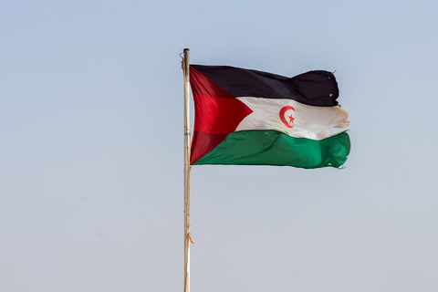 Flag of Western Sahara against the sky