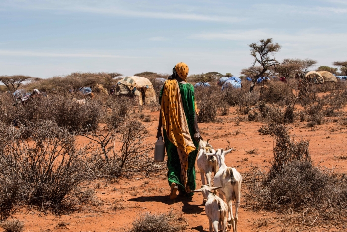 Ethiopia drought