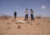 Drought Somaliland
