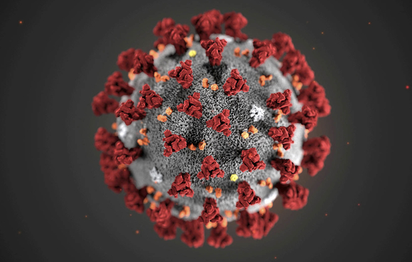 An illustration of the Novel Coronavirus (2019-nCoV) behind the outbreak of the respiratory illness first detected in Wuhan, China. The image was released by the Centres for Disease Control, Atlanta.