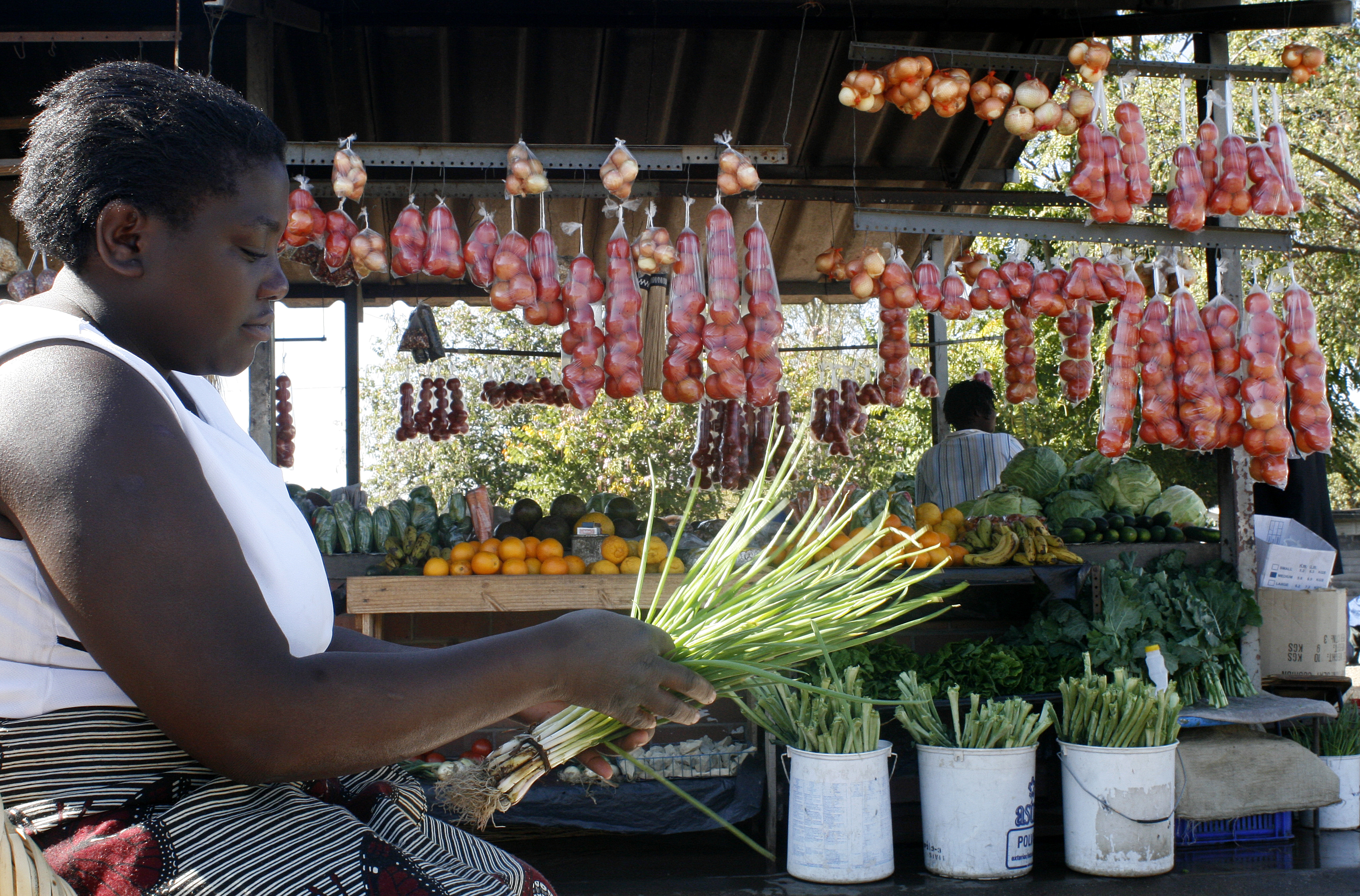 A woman sells vegetables at a food market in Harare,Zimbabwe, July 2007