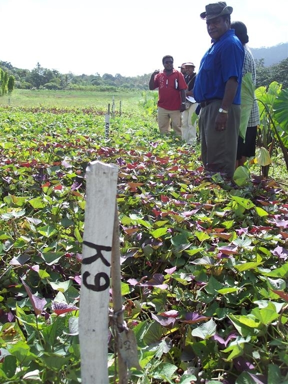 In the past year Papua New Guinea has developed a national strategy to