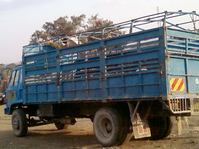 A lorry transporting goats for sale at the Kiserian livestock Market in