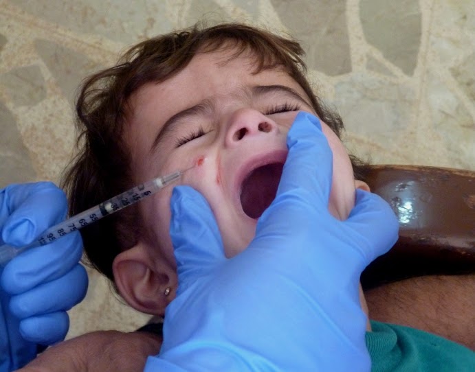 IRIN | Leishmaniasis could fuel refugee resentment in IRIN | Leishmaniasis could fuel refugee resentment in