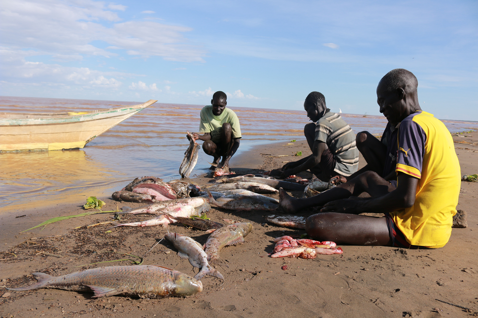 Eperit Naporon, a former herder who turned to fishing, cleans a fish on the shores of Kenya’s Lake Turkana. Fishermen with fish on the shore of Lake Turkana