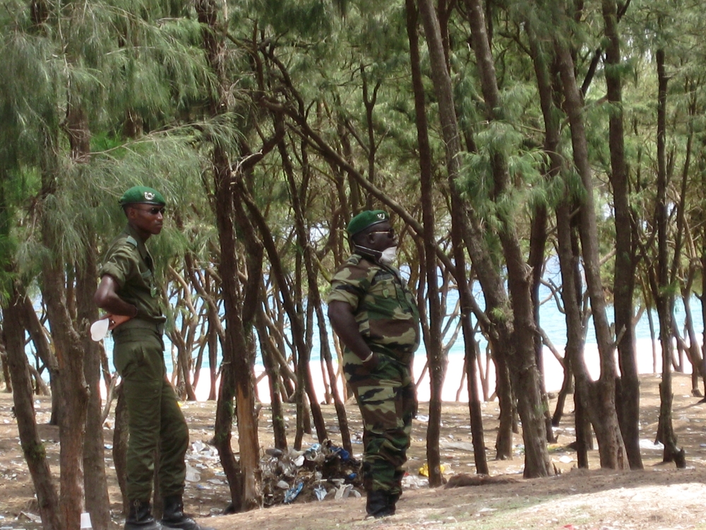 Communities and authorities are stepping up efforts to protect the elements that protect the coast in the Senegal capital, Dakar (November 2007)