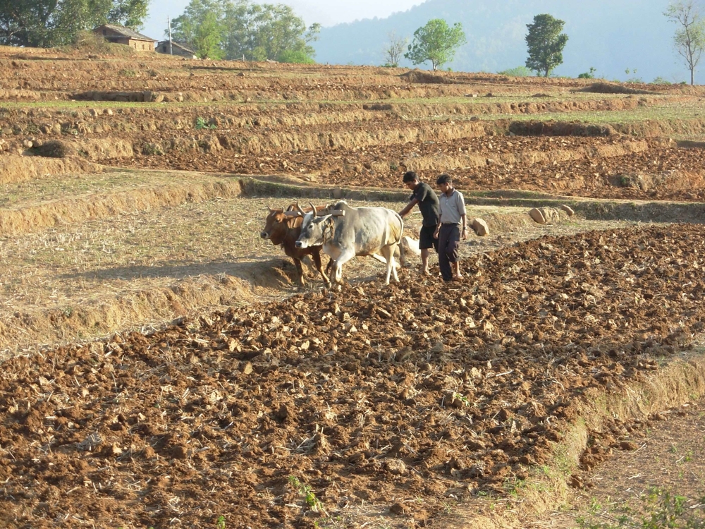 Drought had severely impacted farmers in the west of the country and led to crop failure.