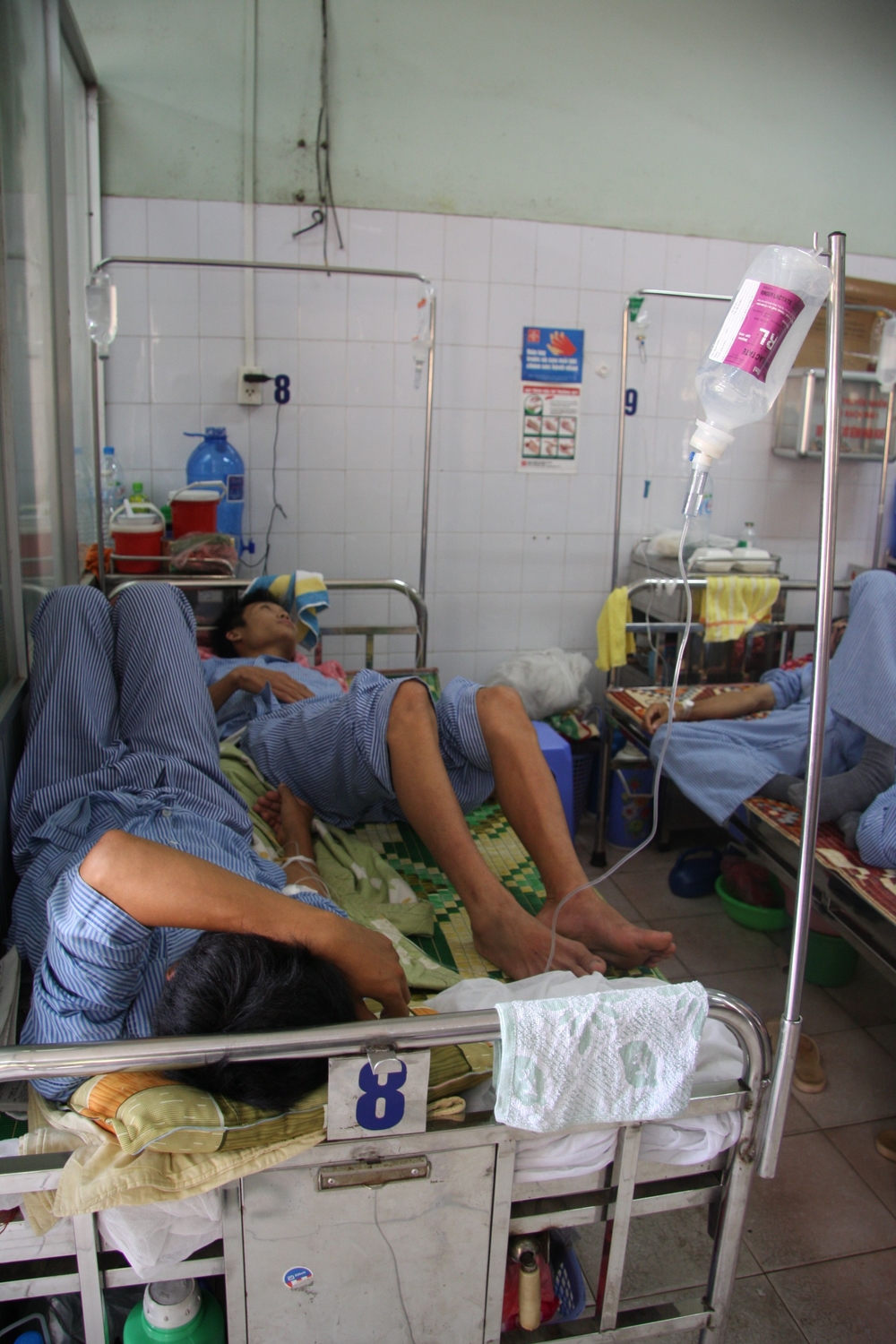 The New Humanitarian | Dengue fever warning as prevention programme ...
