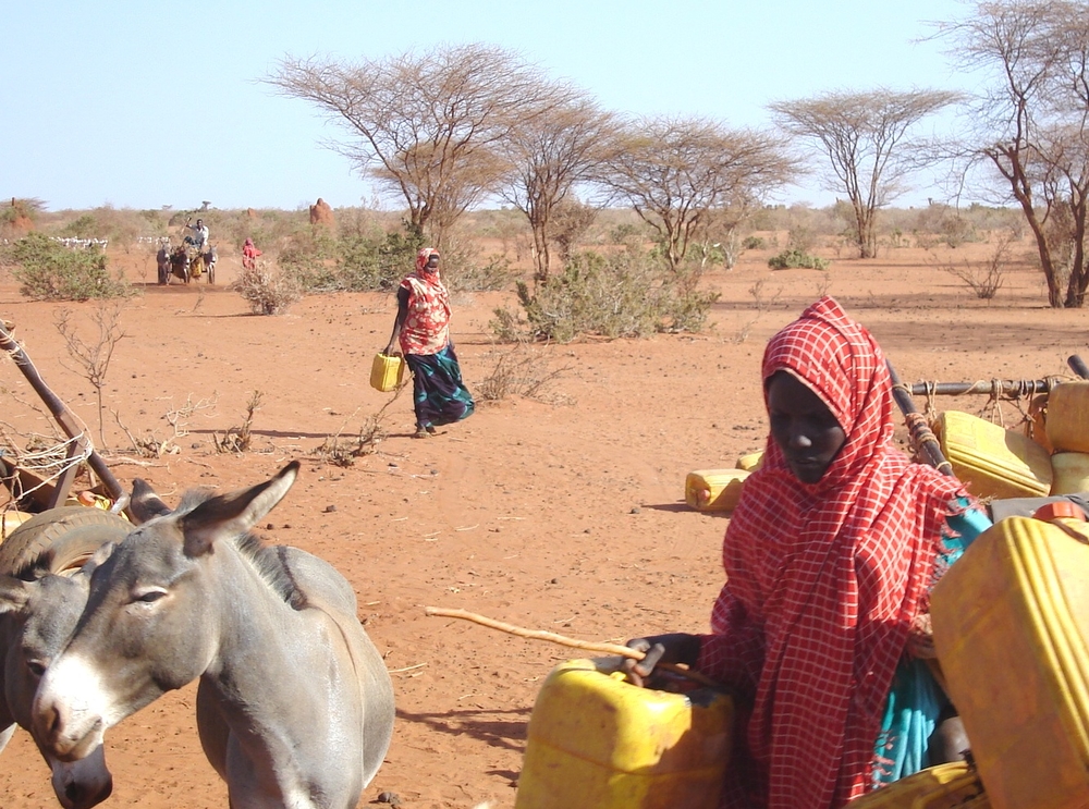 In the drought-ravaged Gedo region of Somalia, obtaining water can involve treks of 20km or more