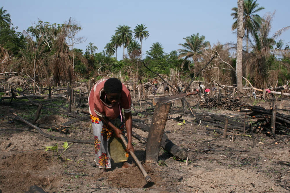 The New Humanitarian Child exploitation rises with poverty