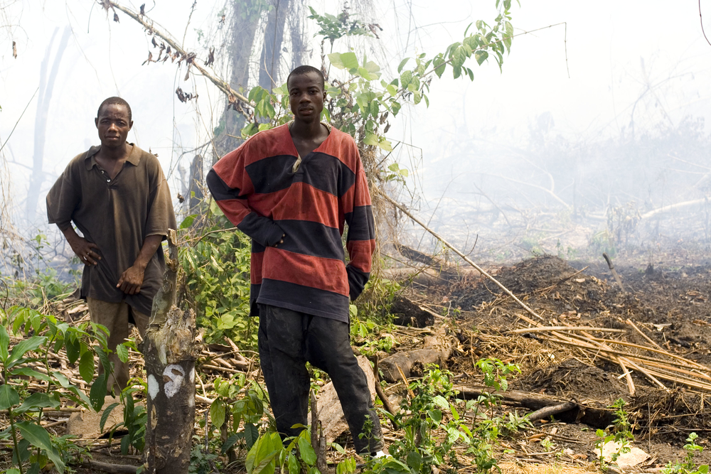 Land issues in Liberia require urgent mediation