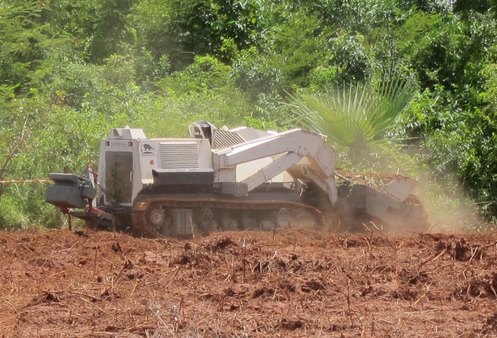 The New Humanitarian Demining On Hold In Senegal S Casamance Region