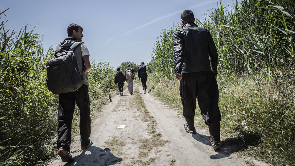 A group of Afghan refugees walk through the buffer zone at the Greek/Macedonian border
