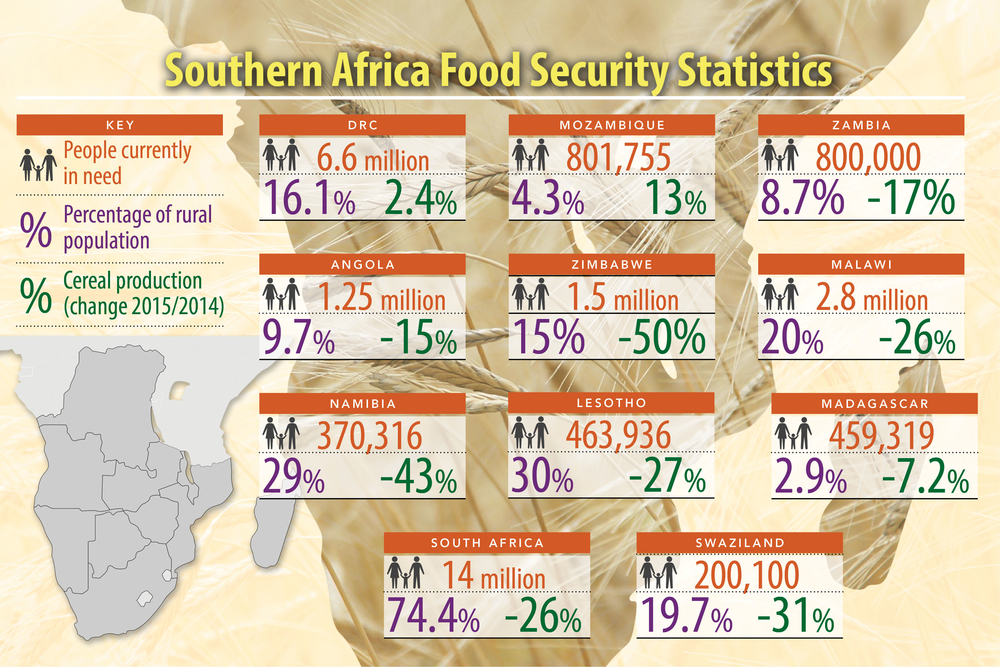 Afrique australe : la crise alimentaire en chiffres Southern Africa food crisis 2016