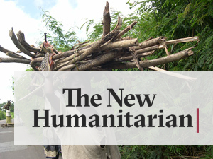 The New Humanitarian | Land disputes gnaw at Côte d'Ivoire's forests - Vimarsana News