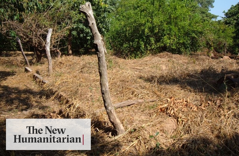 The New Humanitarian Villagers Mutilated By Armed Men In Casamance