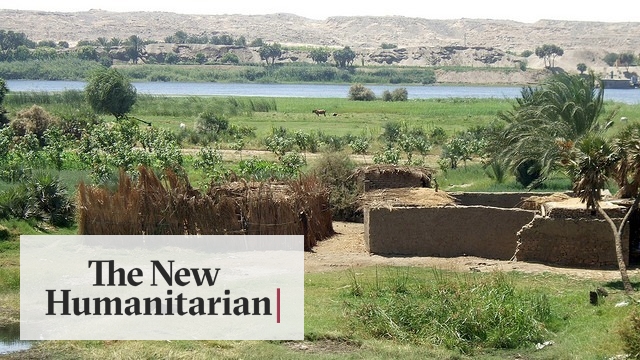The New Humanitarian تحويل صحارى مصر إلى حقول