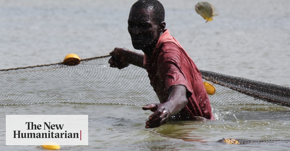 The New Humanitarian Penury Amid Potential In Senegal S Casamance