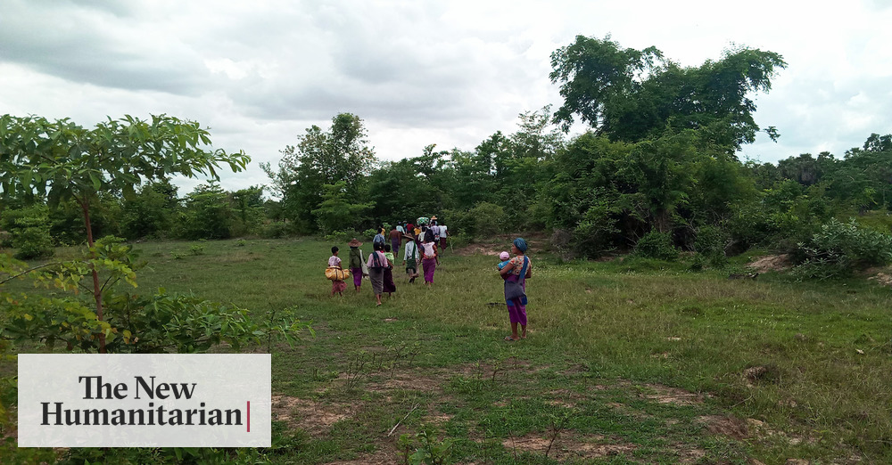 The New Humanitarian | Myanmar's hidden hunger: Humanitarian needs rise, away from the usual conflict front lines - Vimarsana News