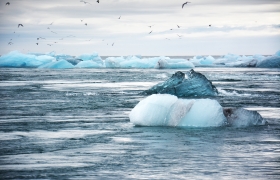 Glaciers in the Arctic