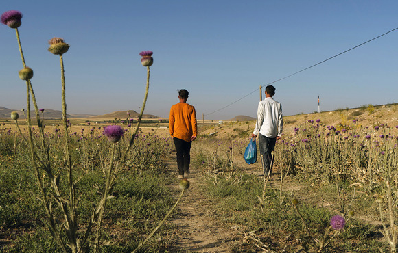 Two men walk in a field with their backs to the camera. 