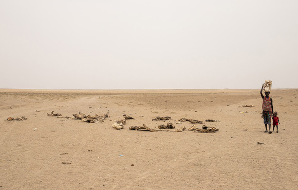Drought has killed 3.5 million animals in Ethiopia’s southern lowlands since late 2021.