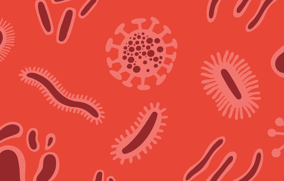 Illustration of disease vectors.