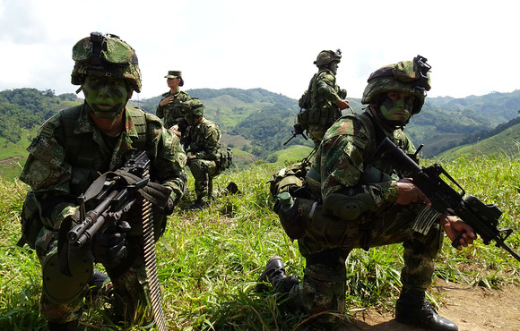 Colombian government forces have been stepping up operations to eradicate coca plantations, like this one in Antioquia province on 10 September 2019.
