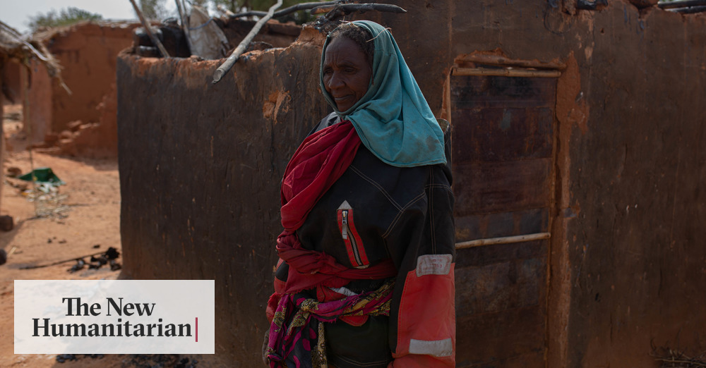 The New Humanitarian | Darfur displacement soars as peace deal falters - Vimarsana News