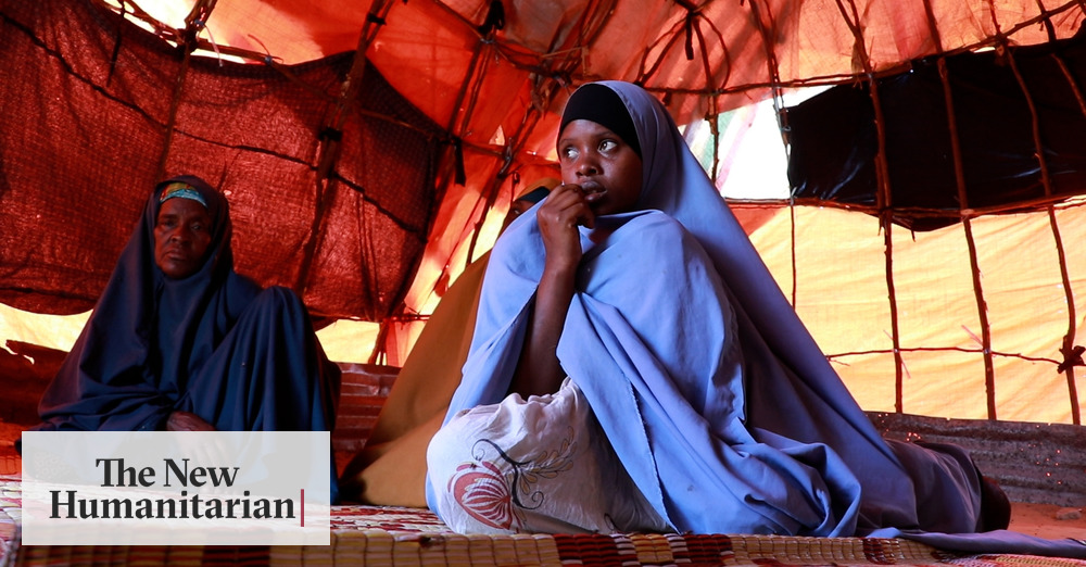 The New Humanitarian | Somalis on surviving the worst drought in decades - Vimarsana News