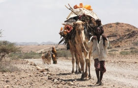 Ethiopian pastoralists return from Somalia